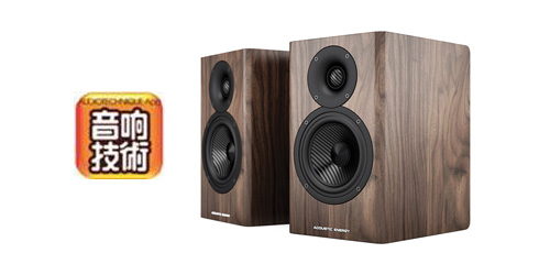 Acoustic Energy AE500 zvučnici, 120W