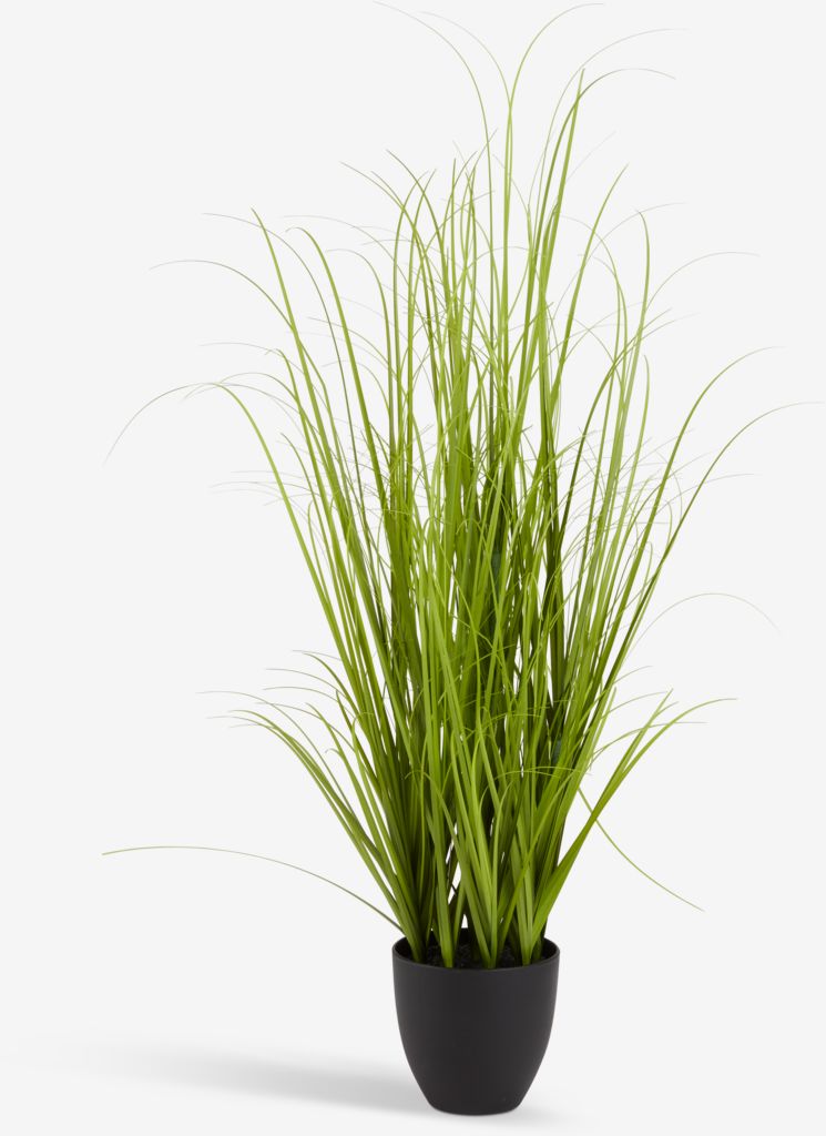 Umjetna biljka MARKUSFLUE V150cm zelena trava